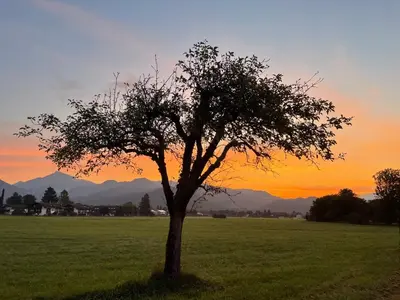 Naturlandschaft in der Nähe der Ferienwohnung