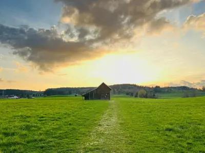 Naturlandschaft in der Nähe der Ferienwohnung