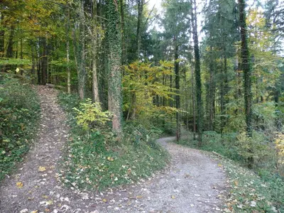 Naturlandschaft in der Nähe der Ferienwohnung