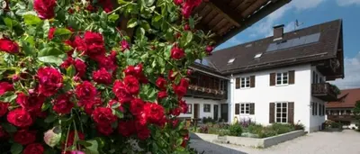 Ein Garten an der Unterkunft Ferienwohnung Lacherhof