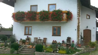 Ein Garten an der Unterkunft Ferienwohnung Walter Gluche