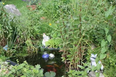 Ein Garten an der Unterkunft Ferienwohnung Schauberger