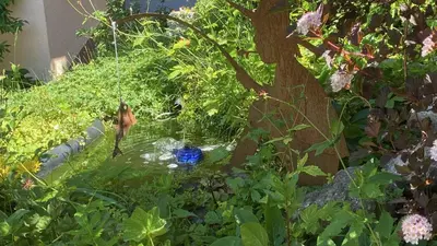 Ein Garten an der Unterkunft Ferienwohnung Schauberger