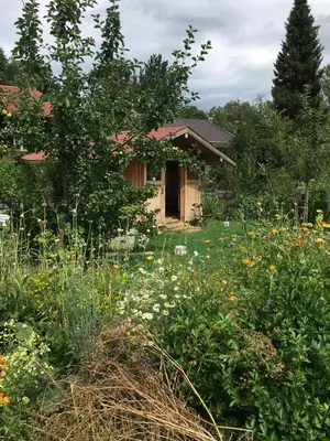 Ein Garten an der Unterkunft Ferien Haus am Feldgarten mit 160 qm für 2 bis 9 Personen