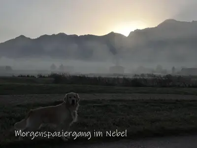 Naturlandschaft in der Nähe der Ferienwohnung