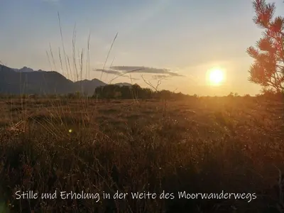 Naturlandschaft in der Nähe der Ferienwohnung
