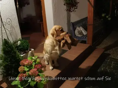 Haustiere von Gästen der Unterkunft Beste Zeit Ferienwohnung