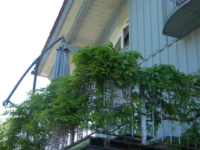 Das Gebäude in dem sich die Ferienwohnung befindet