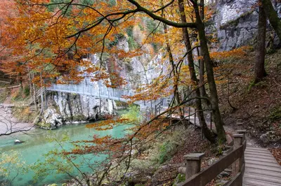 Naturlandschaft in der Nähe der Ferienwohnung