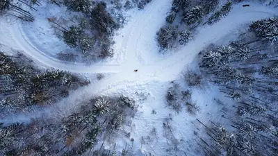 Beim Mühltaler im Winter