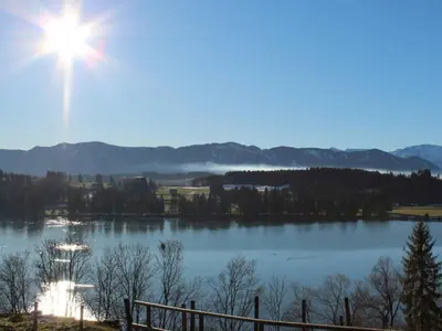 Naturlandschaft in der Nähe des Ferienhauses