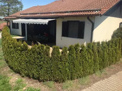 Ein Garten an der Unterkunft Ferienhaus Nr 81, Typ A, Feriendorf Hochbergle, Allgäu