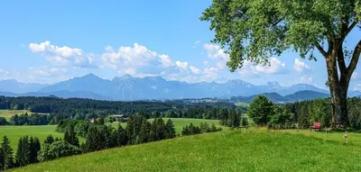 Naturlandschaft in der Nähe des Ferienhauses