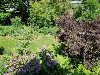 Ein Garten an der Unterkunft Ferienwohnung Leo