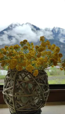 Ein allgemeiner Bergblick oder ein Berglick von der Ferienwohnung aus