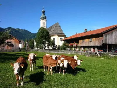 Tiere in der Ferienwohnung oder in der Nähe