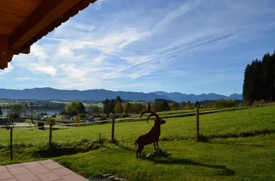 Naturlandschaft in der Nähe des Ferienhauses