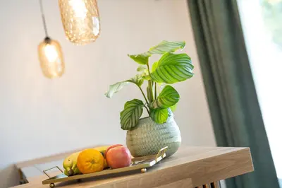 Grundriss der Unterkunft Snooze Apartments Alling