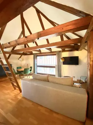 TV/Unterhaltungsangebot in der Unterkunft Ferienwohnung Nepomuk