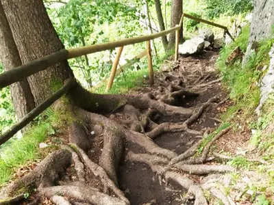 Naturlandschaft in der Nähe der Ferienwohnung