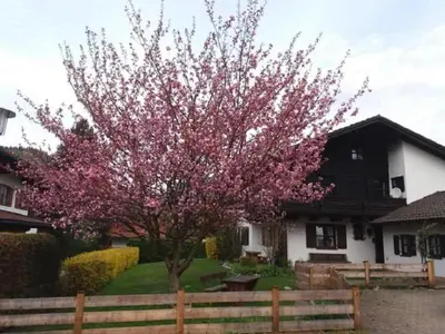 Ein Garten an der Unterkunft Gipfelblick am Wössenerbach