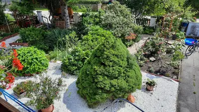 Ein Garten an der Unterkunft Fewo Sabrina EG & OG