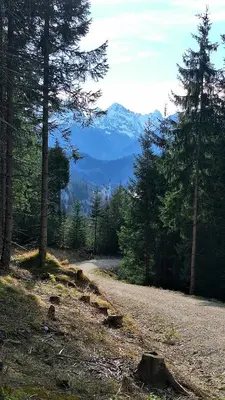 Naturlandschaft in der Nähe der Ferienwohnung