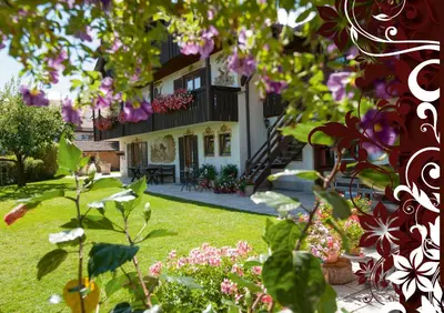 Ein Garten an der Unterkunft Pension Willibald