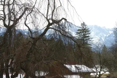 Naturlandschaft in der Nähe der Ferienwohnung