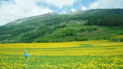 Naturlandschaft in der Nähe der Pension