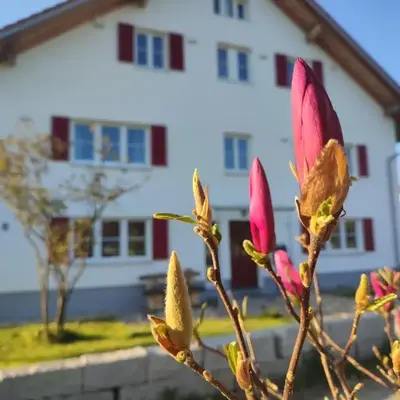 Viel Platz in Bernbach