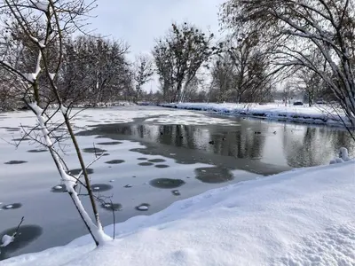 Feriennest Chiemseeglück im Winter