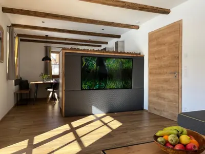 TV/Unterhaltungsangebot in der Unterkunft Ferienwohnung Sunnseitn