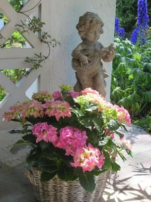 Ein Garten an der Unterkunft Ferienwohnung Birkenflair