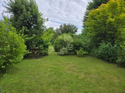 Ein Garten an der Unterkunft Ferienwohnungen beim Silbergersee