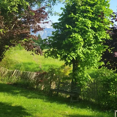 Ein Garten an der Unterkunft Ferienwohnungen beim Silbergersee
