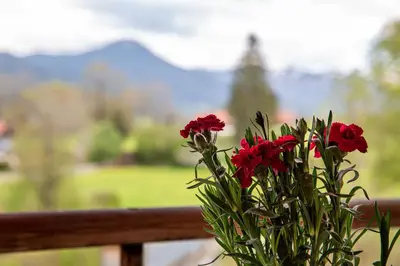 Ein allgemeiner Bergblick oder ein Berglick von der Ferienwohnung aus