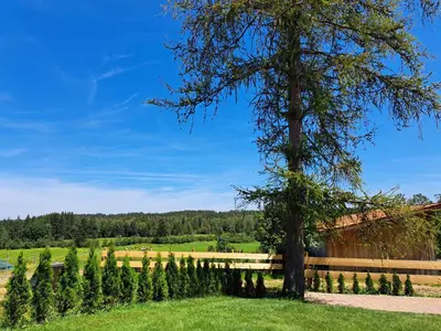 Naturlandschaft in der Nähe der Ferienwohnung