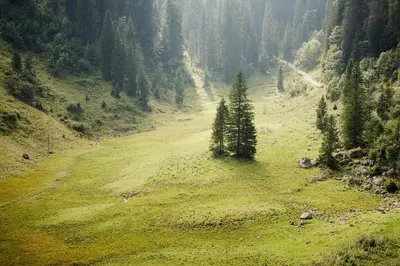 Naturlandschaft in der Nähe des Gasthauses