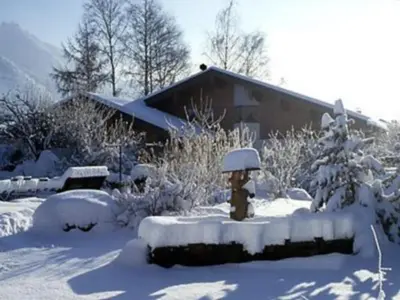 Bosch Hermann im Winter