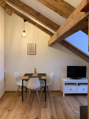 TV/Unterhaltungsangebot in der Unterkunft Zentrale 1-Zimmer-Wohnung in der Altstadt