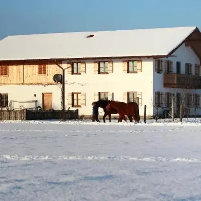 Springerhof