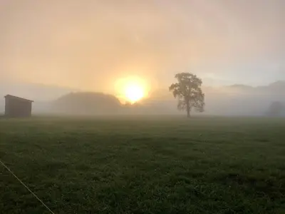 Naturlandschaft in der Nähe der Ferienwohnung