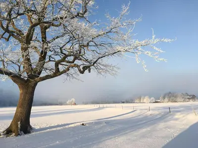 Ferienwohnung Am Moosbach im Winter