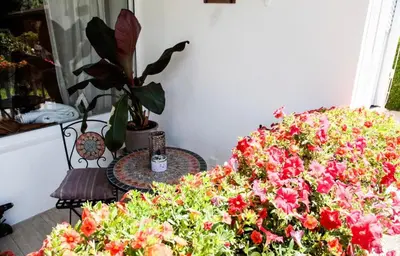 Ein Garten an der Unterkunft Ferienwohnung Familienglück
