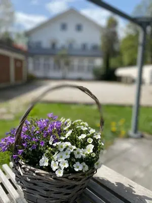 Ein Garten an der Unterkunft Ferienwohnung Am Franziskanergarten