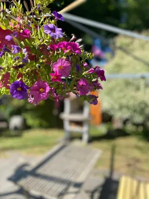 Ein Garten an der Unterkunft Ferienwohnung Am Franziskanergarten