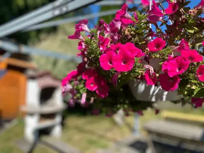 Ein Garten an der Unterkunft Ferienwohnung Am Franziskanergarten