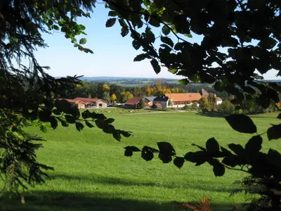 Naturlandschaft in der Nähe der Ferienwohnung
