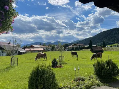 Ein allgemeiner Bergblick oder ein Berglick von der Ferienwohnung aus